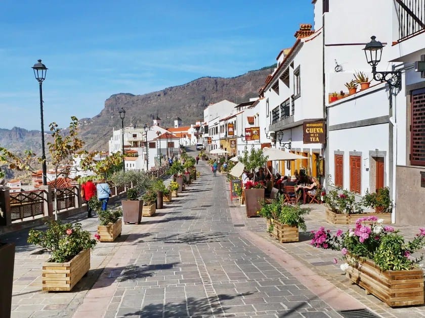 Viñedo en Gran Canaria